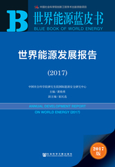世界能源发展报告（2017）
