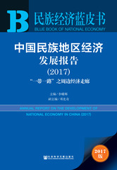 中国民族地区经济发展报告（2017）