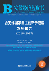 合芜蚌国家自主创新示范区发展报告（2016～2017）