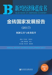 金砖国家发展报告（2017）