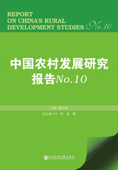 中国农村发展研究报告No.10