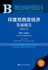 印度尼西亚经济发展报告（2017）