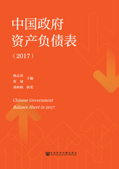 中国政府资产负债表（2017）
