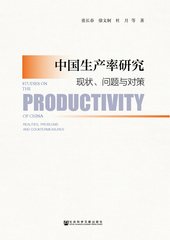 中国生产率研究：现状、问题与对策