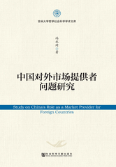 中国对外市场提供者问题研究