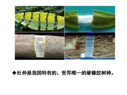 幻灯片6