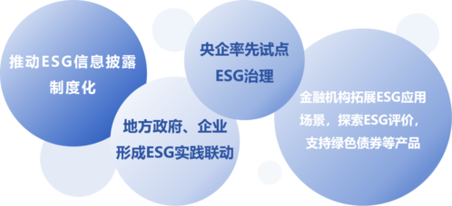 图片15