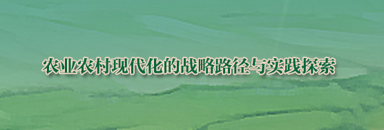 报告推荐 | 农业农村现代化的战略路径与实践探索